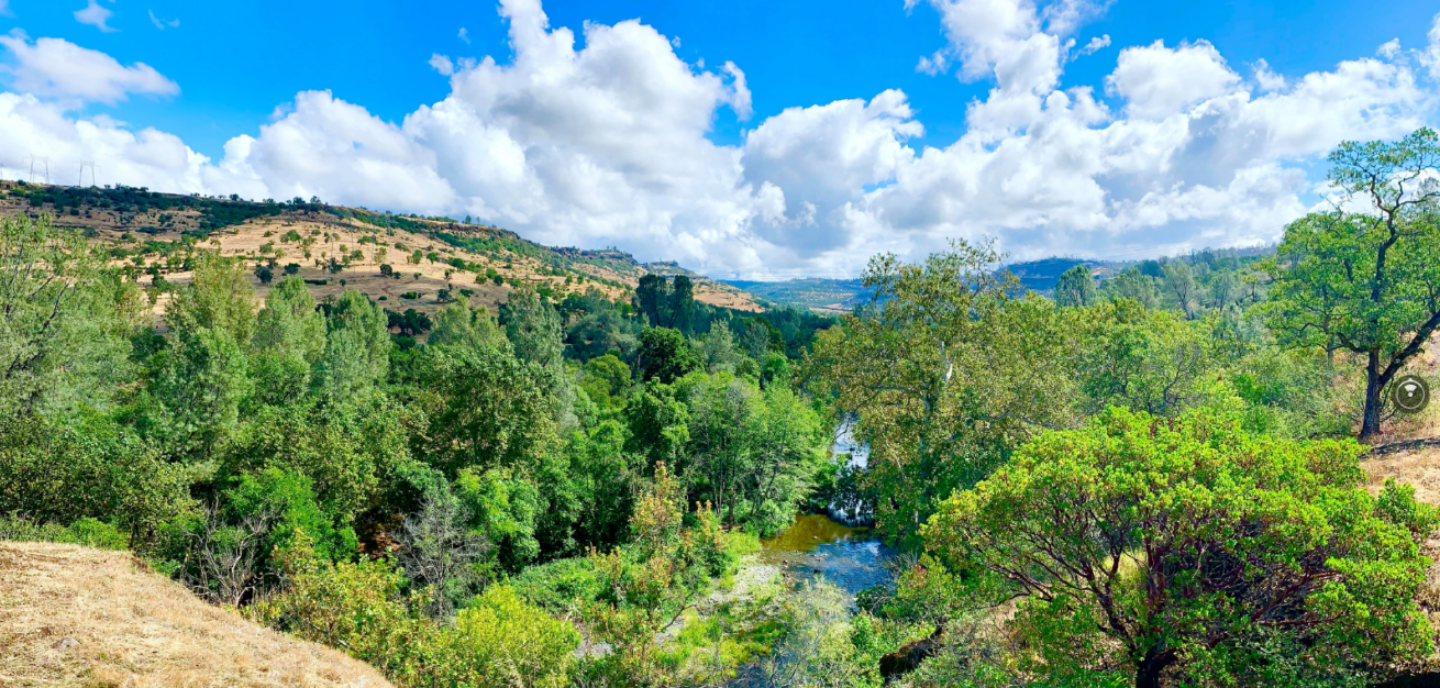 Streetalk Is Chico still a nice place to live? • Chico News & Review