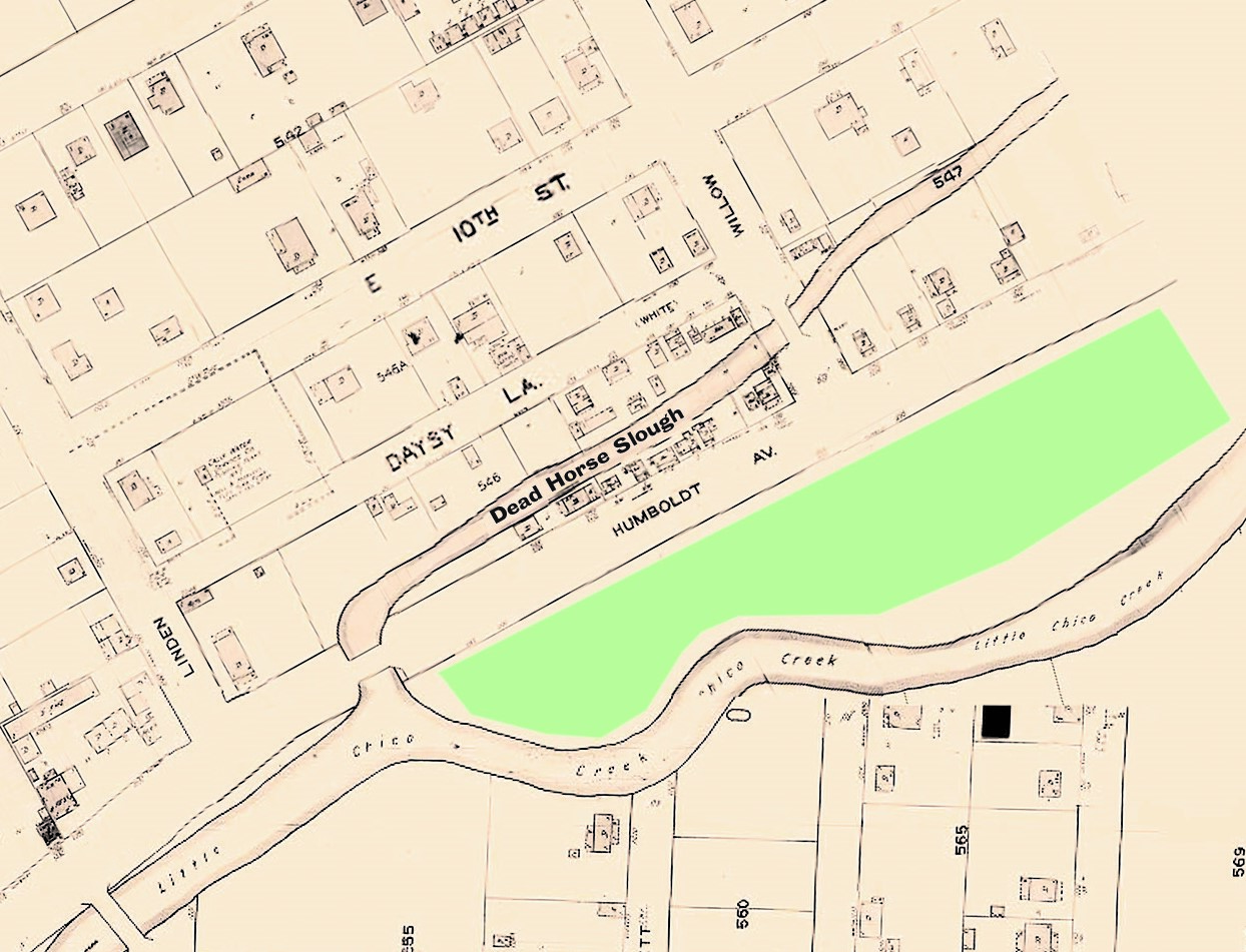 Remembering Daisy Lane • Chico News & Review