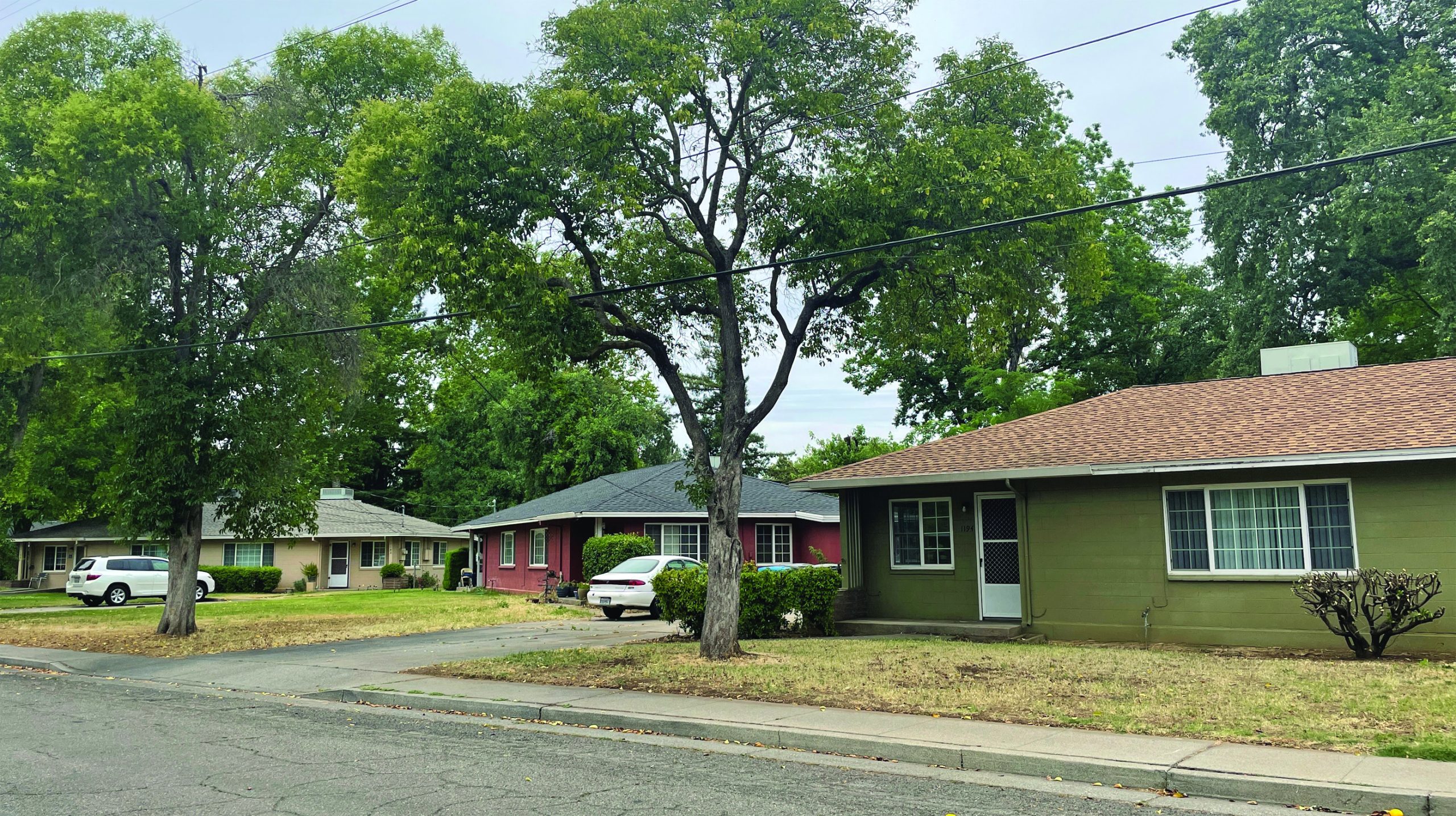 Remembering Daisy Lane • Chico News & Review