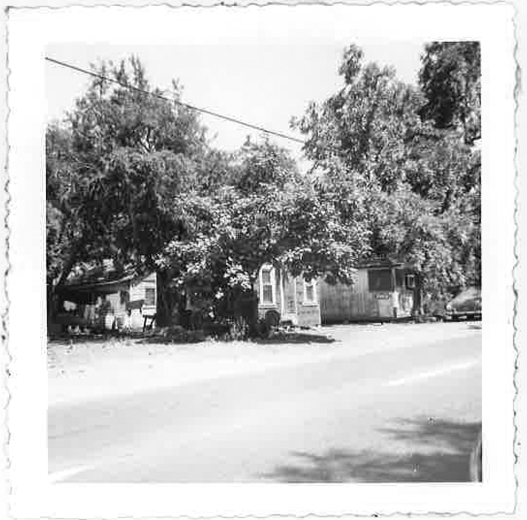 Remembering Daisy Lane • Chico News & Review