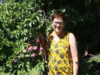 A woman stands under a fruit tree.
