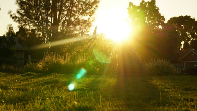 allura-ramirez-H-Mm3688l10-unsplash