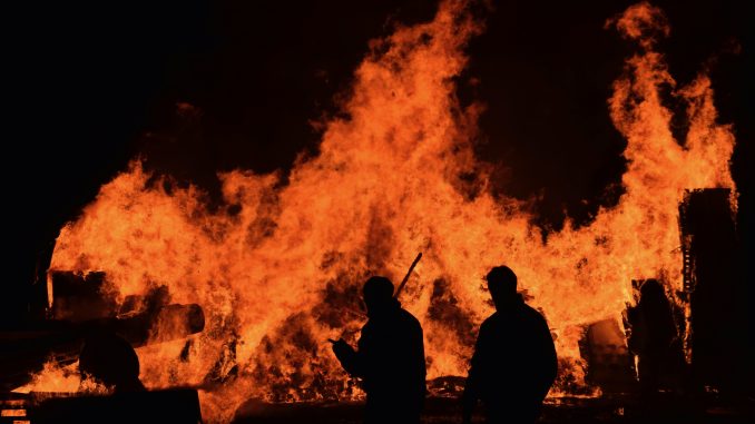 issy-bailey-tEIHSmfwznM-unsplash