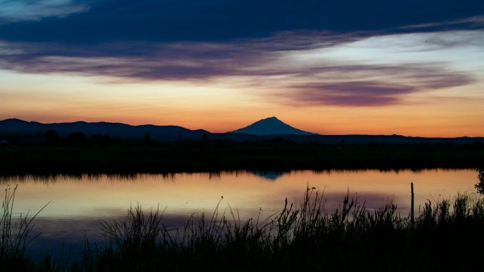 caleb-pudewell-25pgwI3o_IY-unsplash