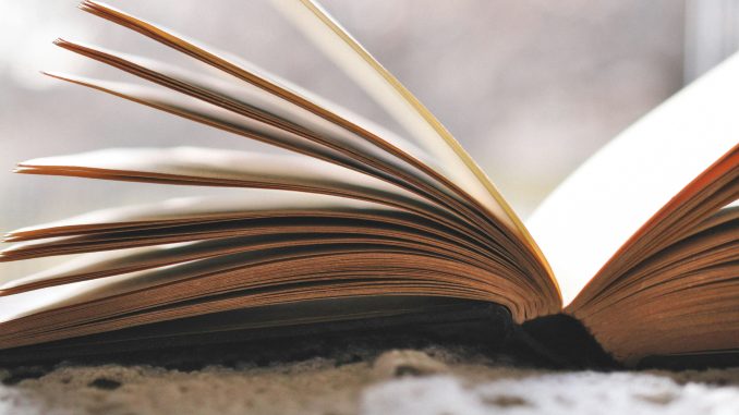 haley-parson--XeNMy8Xc0A-unsplash