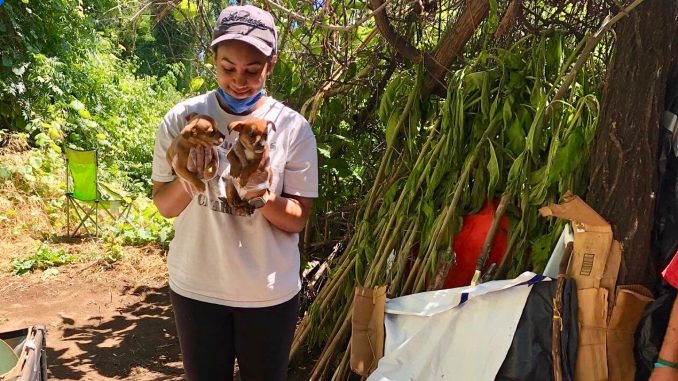 3. Alexandra Wynter volunteering, photo courtesy of Councilmember Addison Winslow