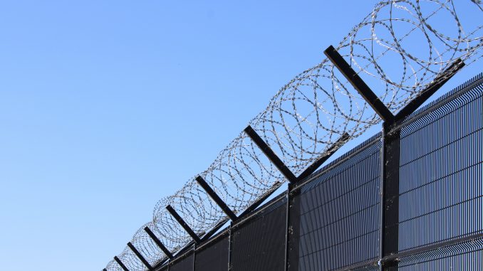 ben-marler-wW5vKD8MJGA-unsplash